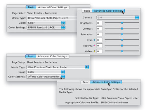 Acrobat Tutorial Image