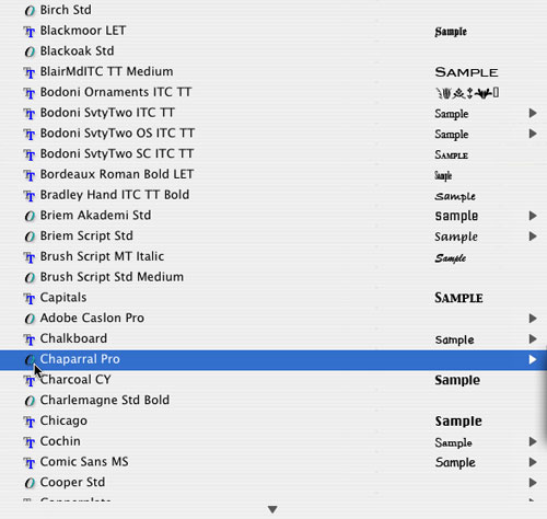 OpenType fonts  the font format and its usage