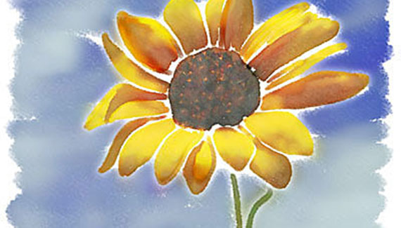 pattern_stamp_art pattern_stamp_art