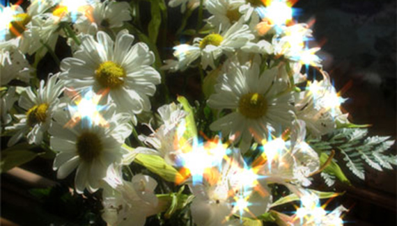 scatterlight scatterlight