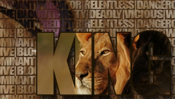 wall-of-text wall-of-text