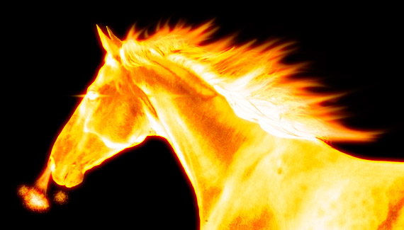 fire-brushes fire-brushes