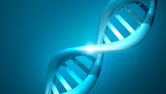 dna_strand dna_strand