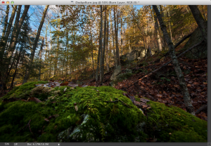 DodgeBurn6