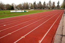 Sports Photography Track and Field